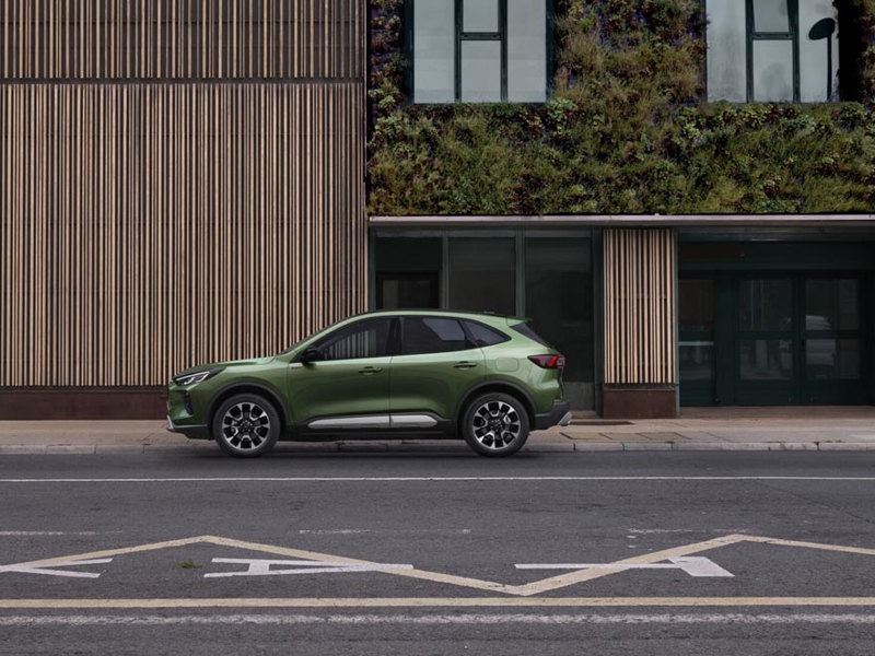 Vestiging Brielle | Van der Burgh